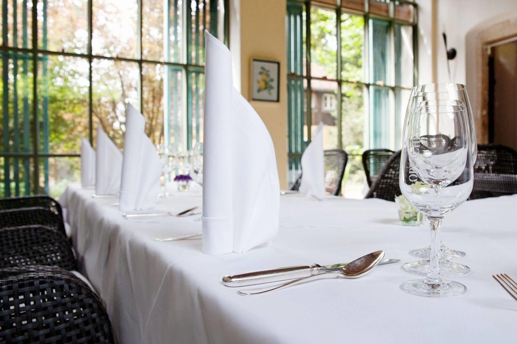 Hotel Villa Sorgenfrei & Restaurant Atelier Sanssouci Radebeul Extérieur photo
